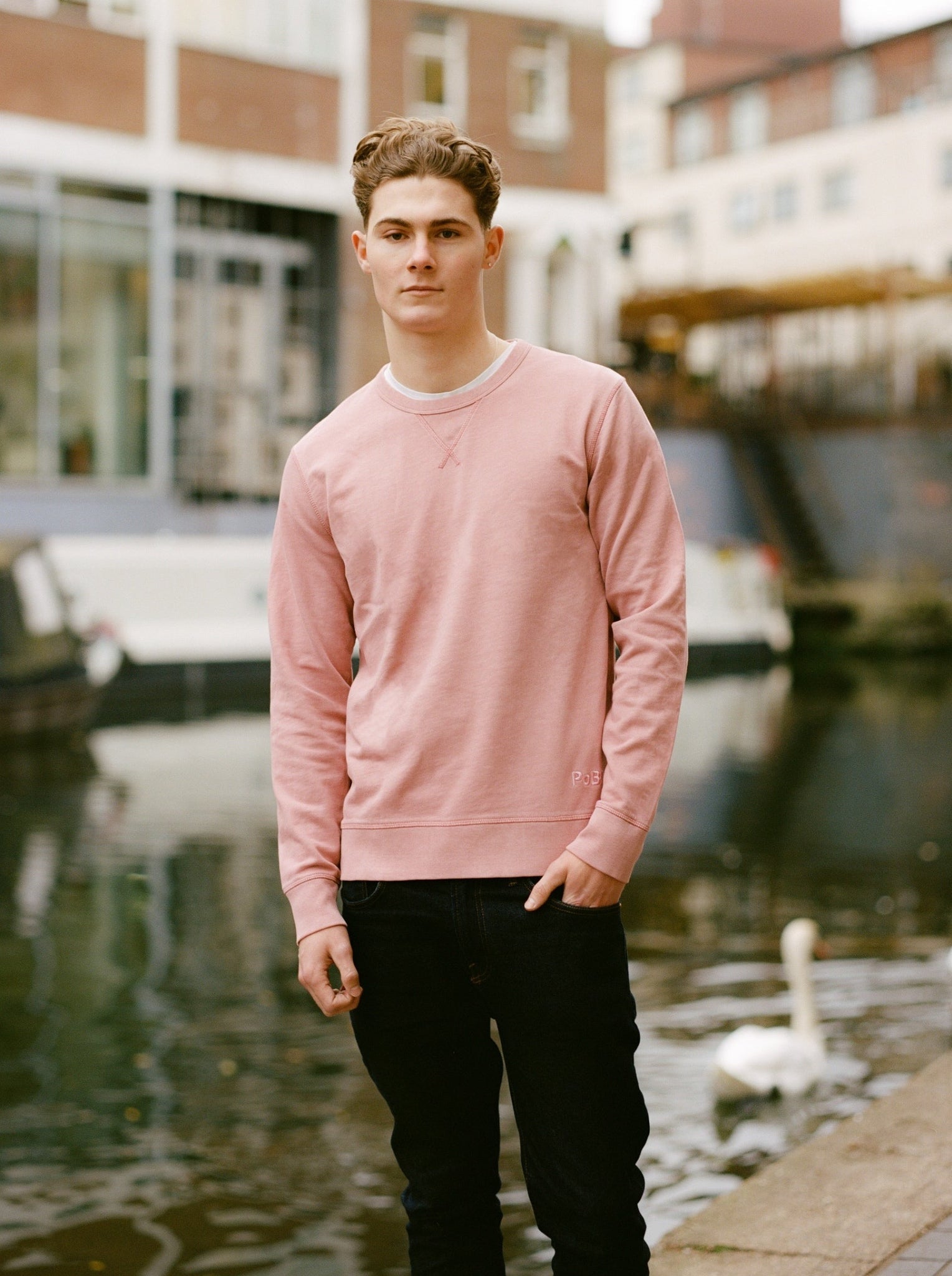 Organic Cotton Sweatshirt, Medium Fit - free shipping - PoBO